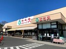 エコス 川口店(スーパー)まで902m オ－クハウス