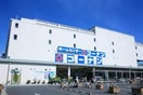 コーナン　中央林間店(電気量販店/ホームセンター)まで226m セドルハイムモリカワ Ｂ棟