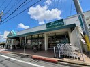 マルエツ　成増団地店(スーパー)まで613m メゾンヌフ