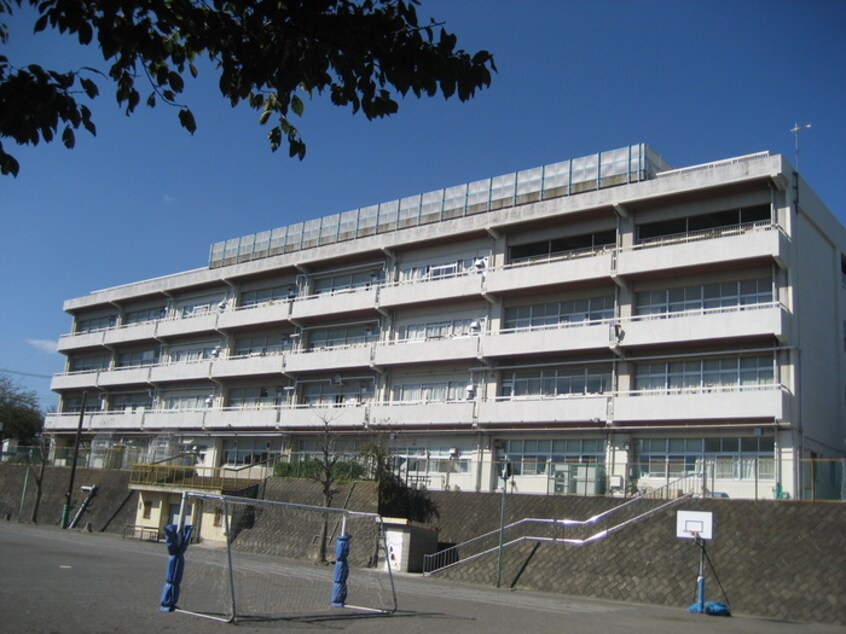 善部小学校(小学校)まで350m スターテラスセイラン