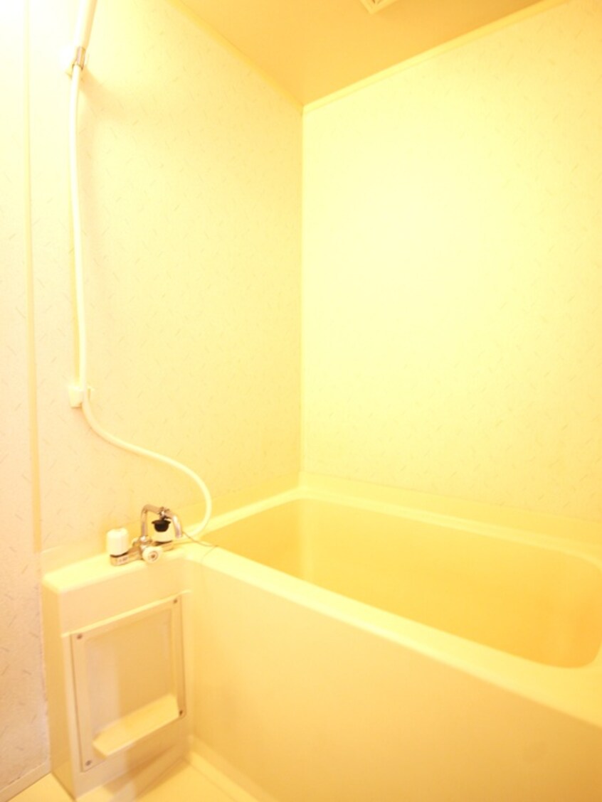 バス／シャワールーム等 パステル六軒町Ｂ