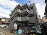 ﾄﾞｴﾙ･ｵｶ