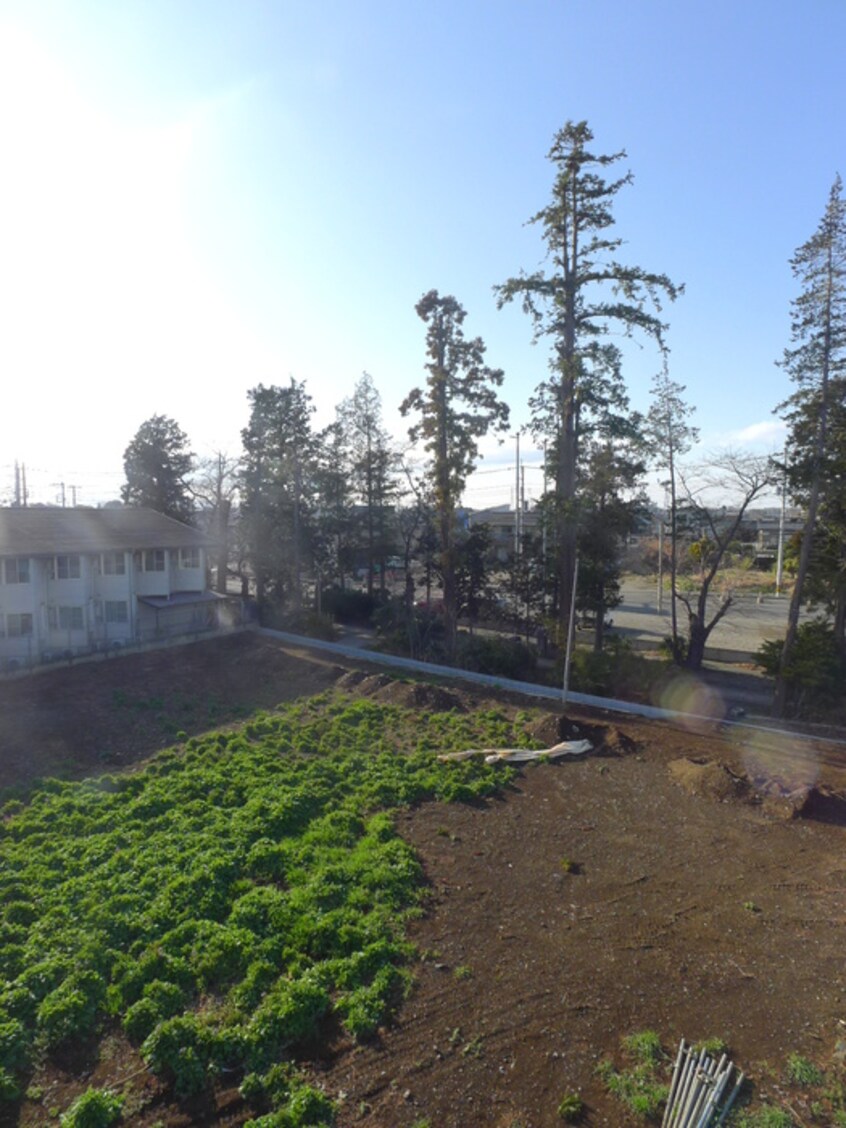 室内からの展望 first　capital　RIDAI