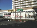 ina21　玉川上水駅前店(スーパー)まで797m モンシャトー玉川Ｎ