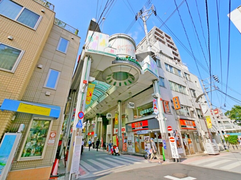 ハッピーロード大山商店街(ショッピングセンター/アウトレットモール)まで739m レジェンド大山（703）