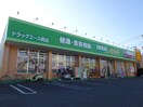 ドラッグ・エース　岡店(ドラッグストア)まで357m リブリ・朝霞Ｂ