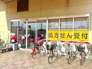 ドラッグ川越山田店(ドラッグストア)まで350m ハウス宮元2号棟