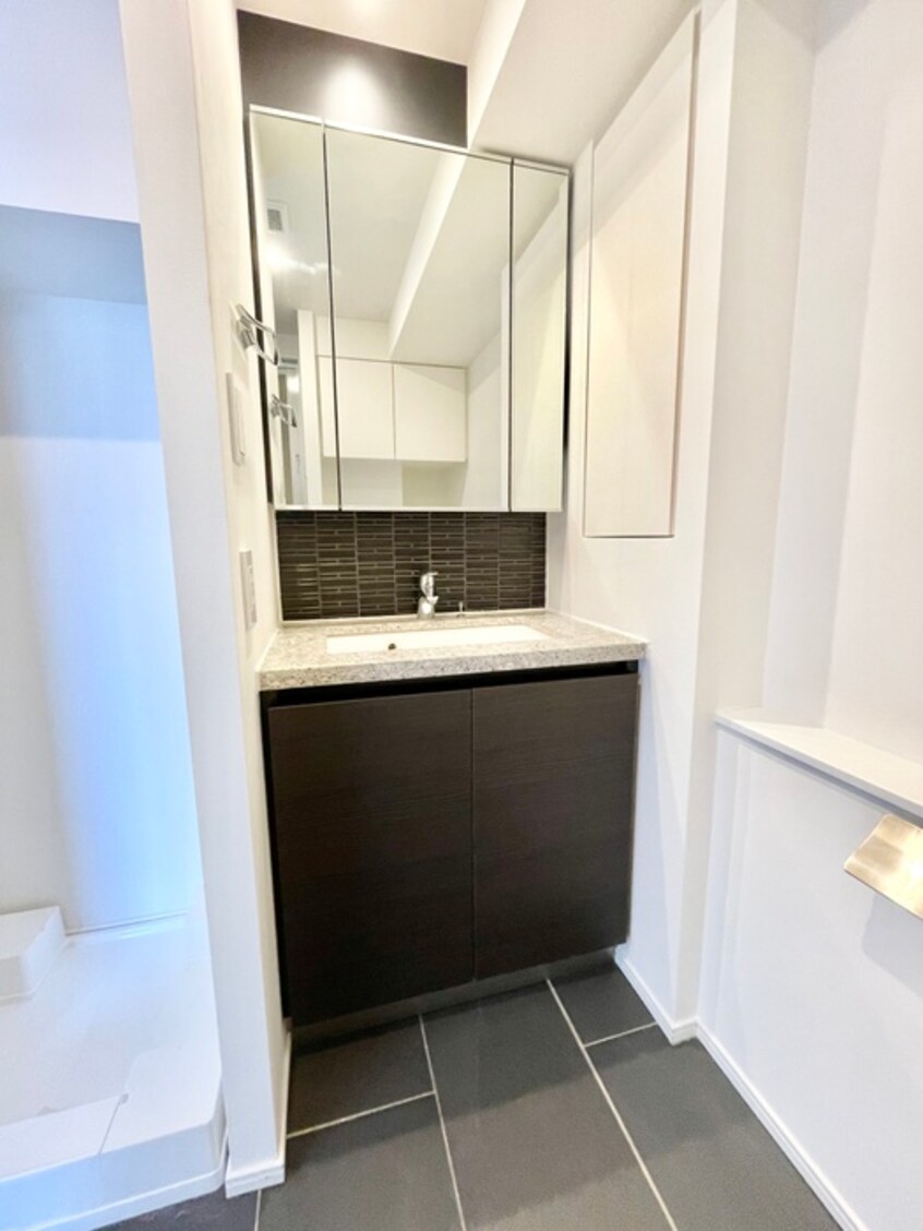 洗面 ザ・パークハビオ浅草駒形