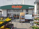 ユニディ(電気量販店/ホームセンター)まで350m デュラカーサ藤八Ⅰ