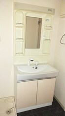 洗面 第一フラワーマンション