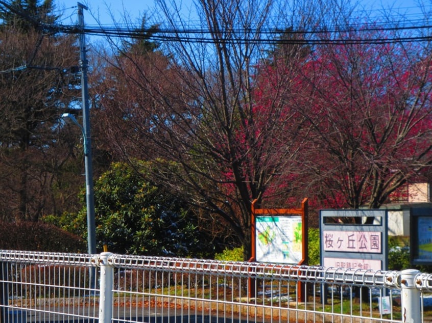 都立桜ヶ丘公園(公園)まで454m ヴィラ桜ヶ丘