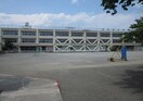 立川市立柏小学校(小学校)まで350m レジデンスベリール　Ｂ