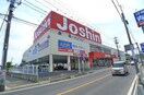 ジョーシン(電気量販店/ホームセンター)まで821m メゾン　エムロ－ド