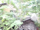 室内からの展望 ウィズ土屋