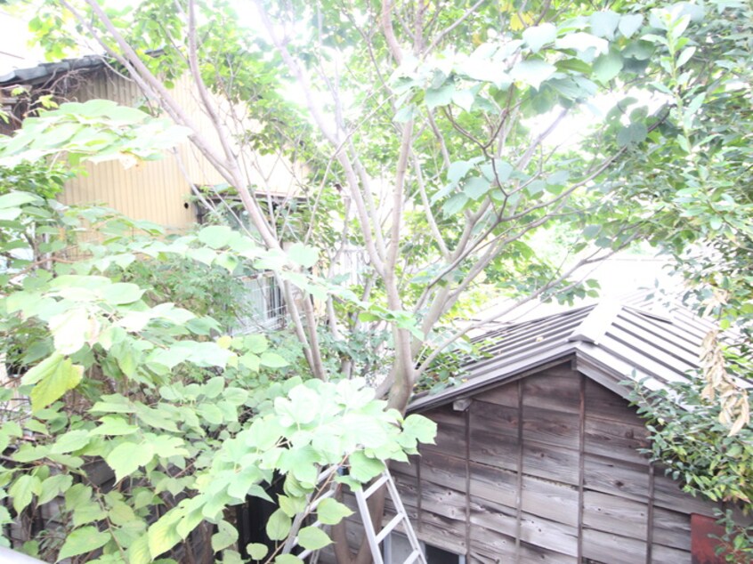 室内からの展望 ウィズ土屋