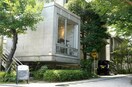 カフェAERIEN新代田店(カフェ)まで172m ウィズ土屋
