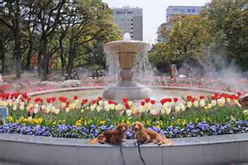 横浜スタジアム公園(公園)まで300m パークアクシス横浜山下町