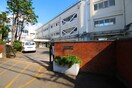 日野市立第四小学校(小学校)まで850m グレースコート