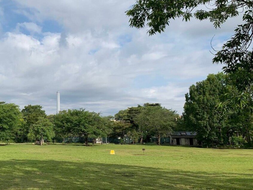 柏の宮公園(公園)まで77m 浜田山２丁目戸建