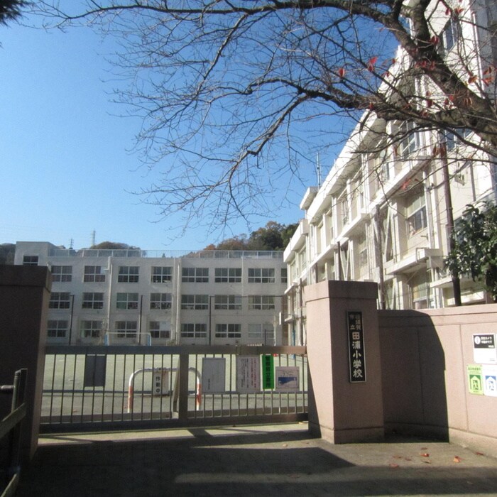 田浦小学校(小学校)まで39m 石川弐番館