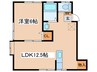 シャトレ中野 1LDKの間取り