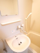 洗面 フラワ－ガーデン