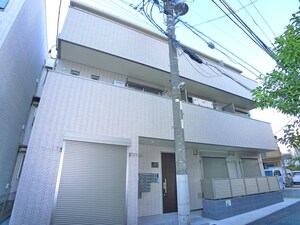 晴桜