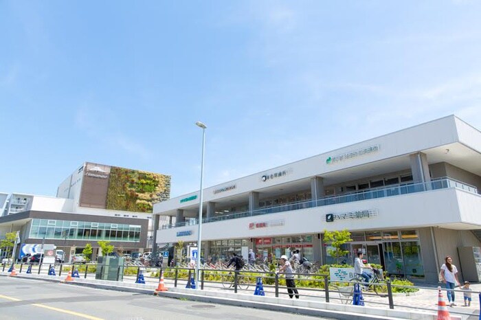 BRANCH ブランチ茅ヶ崎(ショッピングセンター/アウトレットモール)まで604m Blu mare