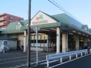 マルエツ 朝日町店(スーパー)まで232m ヴィ鶴見