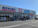 ウエルシア(ドラッグストア)まで340m グレイストーエイ