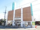 平塚信用金庫(銀行)まで500m パラシオン平塚