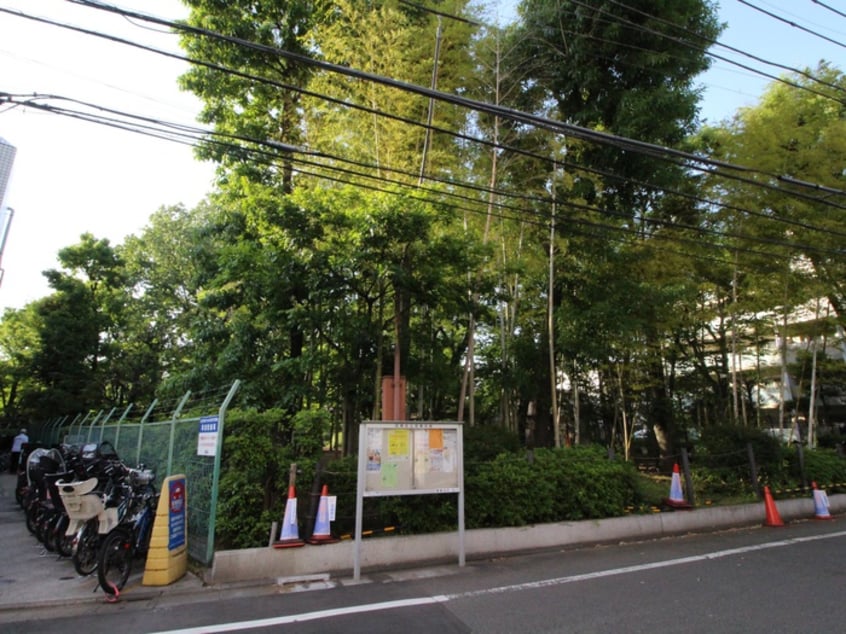 中央緑地公園(公園)まで240m エスタシオンナカノ