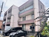 ｱﾝﾌﾟﾙｰﾙﾌｪｰﾙﾍﾞﾙﾂﾘｰⅢ