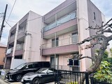 ｱﾝﾌﾟﾙｰﾙﾌｪｰﾙﾍﾞﾙﾂﾘｰⅢ