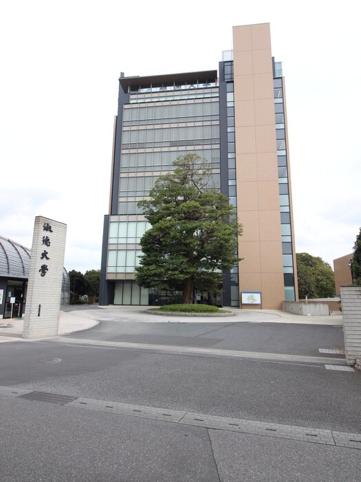 淑徳大学(予備校)まで210m コーポフリーダム