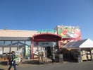 小田急百貨店(スーパー)まで510m ブラン・アール
