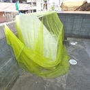 建物設備 サンライズパレス１