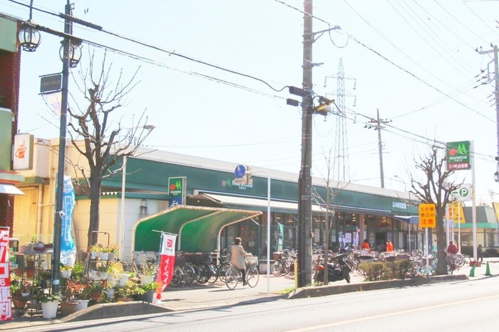 ウエルシア(ドラッグストア)まで320m グリーンハイツ