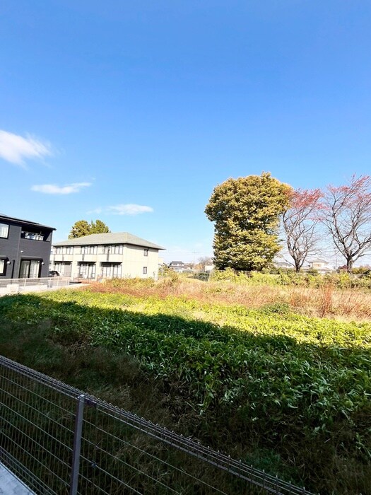 室内からの展望 スプリングサニー