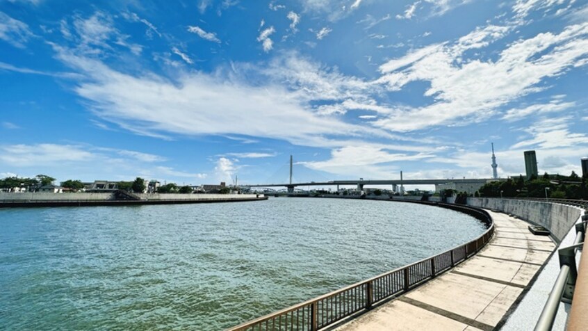 周辺環境 リブリ・カトルアルブル