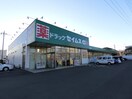 ドラッグセイムス　青梅河辺店(ドラッグストア)まで242m アルカディア河辺７A棟