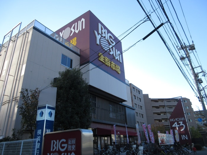 ビッグヨーサン(スーパー)まで400m ルミエ―ルアン