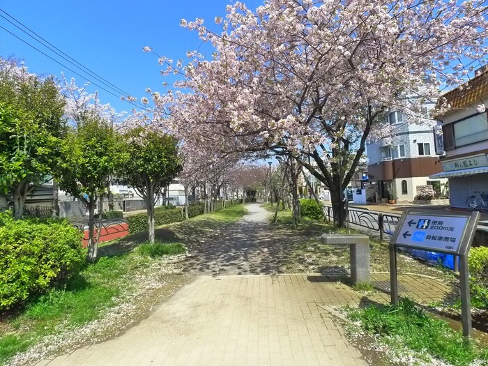 曳舟川親水公園(公園)まで350m 宝町山田アパ－ト