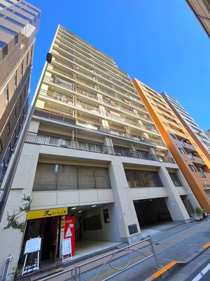 池袋パークハイツ(809)