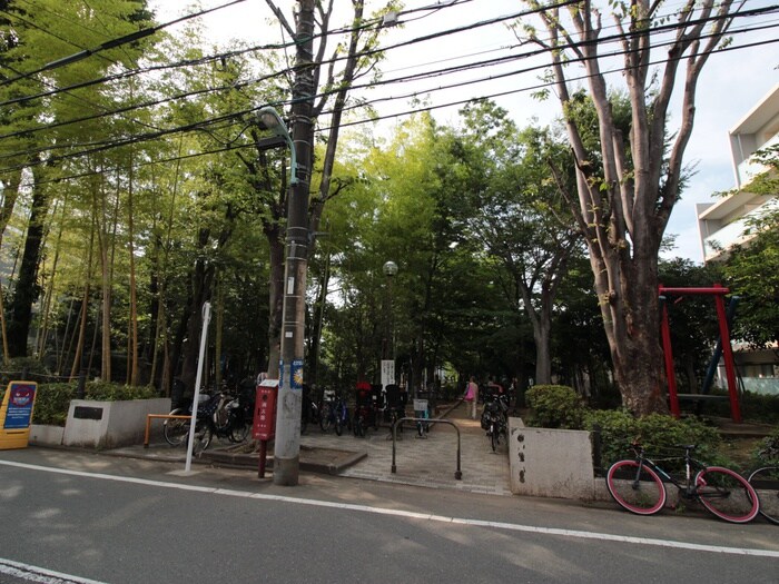 中央緑地公園(公園)まで550m フラッツ学芸大