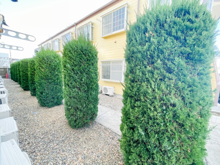 室内からの展望 パ－ク・ヴィレッジ竹の塚Ｃ