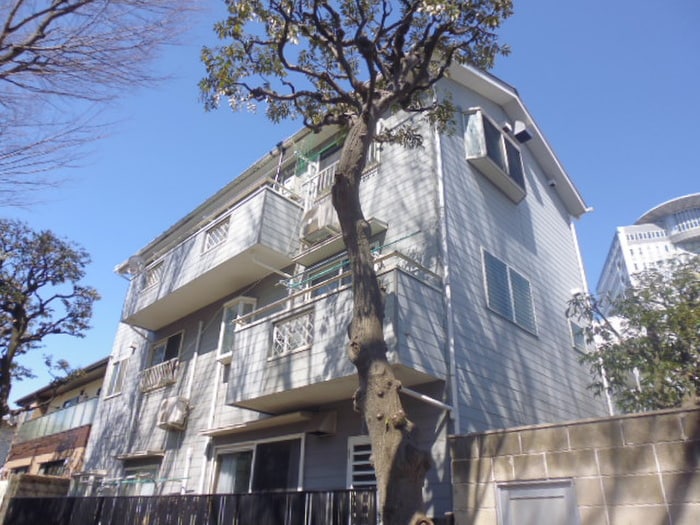 外観写真 アイビ－白山