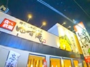 ゆず庵(その他飲食（ファミレスなど）)まで380m ウィステリア