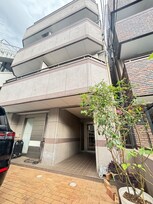 石内BLD