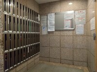 ｳﾞｪﾙﾄｳｫｰﾀｰﾌﾛﾝﾄ(803)